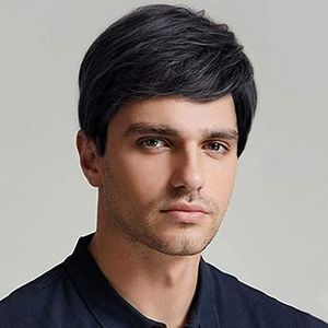 QUEENTAS Short Men Wigs Black Hair Wig for Men Full Head Artificial Synthetic Hair Wig for Man Cosplay Diwali