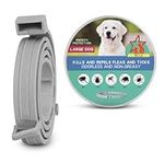 UrbanX Collar for Labrador Retriever and Other Large Sporting Dogs Prevention, Control, Waterproof, Adjustable (1 Packs)