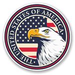 2 x 10cm USA Eagle Vinyl Sticker Laptop Car Travel Luggage Tag Map Flag #6029 (10cm x 10cm)