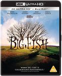 Big Fish (2 Discs - 4k Ultra-HD & B