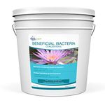 Aquascape 98950 Dry Beneficial Bacteria for Pond & Water Features, 7 lb