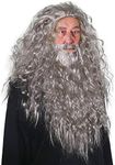 Skeleteen Grey Wig and Beard - Long