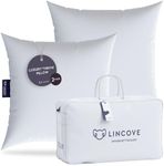 Lincove Euro Throw Pillow Insert Square 12"x12" Pillow – Made in Canada, 100% Cotton Shell, Down Alternative Filling, Vegan-Friendly, Hypoallergenic - Decorative Couch Pillows, 2 Pack