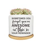 Arosedmo Succulent Cactus Cute Planter Pots with Bamboo Tray, Office Kitchen Home Windowsill Indoor Decor, Gift for Friends Mom Women Coworkers Teachers Plant Lovers