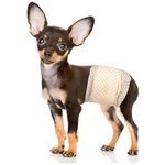 Pet Soft Disposable Male Dog Wraps - Dog Diapers for Male Dogs, Puppy Diapers with Wetness Indicator 48 Counts XSmall