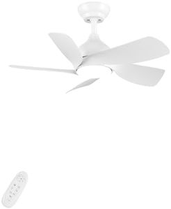 CJOY 30'' 
