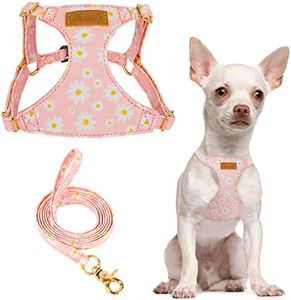 SlowTon Puppy Harness and Leash Set, No Pull Adjustable Lightweight Soft Suede Pet Harness Vest with Snap Buckle for Puppy Small and Medium Sized Dog(Pink,XS)