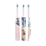 Kookaburra Vapor 5.1 Cricket Bat, Blue, Short Handle