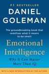 Emotional Intelligence: Why It Can Matter More Than IQ