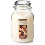 Yankee Candle Company French Vanilla Large Jar Candle, Cream