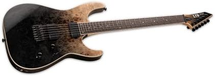 ESP Guitar