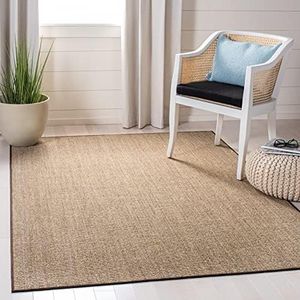 MARTHA STEWART x SAFAVIEH 4' x 6' Light Brown MSR9501T Sisal & Jute Area Rug