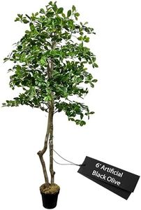 Handmade 6' Italian Black Olive Leaf Artificial Tree | Home Decor for Living Room & Office | Real Touch | Artificial Plant | Office Decor | Home Decor | 6 Feet Tall | Green | Cypress & Alabaster