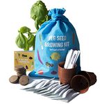 Scott&Co. Vegetable Seed Grow Your Own Kit, 10 Different Veg Seed Varieties, Carrots, Cabbage, Broccoli. Growing Guide, Seeds, Pots, Labels and Compost, Gardening Gifts for Women and Men