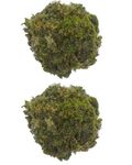 DR ARYA Natural Dried Moss Grass Preserved for Pots with The Nice Green Appearance for Home and Garden - 5 KG