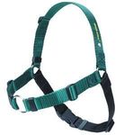 Softouch SENSE ation No Pull Dog Harness Green Medium Large