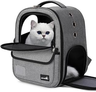 pecute Cat