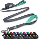 Black Rhino Dog Leash - Heavy Duty - Medium & Large Dogs | 6ft Long Leashes | Two Traffic Padded Comfort Handles for Safety Control Training - Double Handle Reflective Lead - (Aqua)