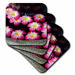 3dRose cst_76058_3 Flowers Floating in Water Fountain, Bangkok, thailand-As36 Aje0004 Adam Jones Ceramic Tile Coasters, Set of 4