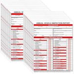 Annual Vehicle Inspection Report 30