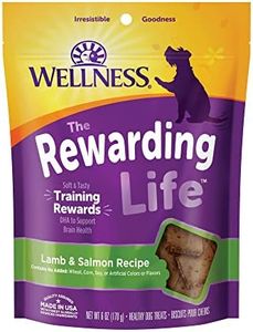 Wellness R