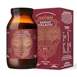 Ancient + Brave - Radiant Collagyn for Beauty 200 Grams - Vegan Collagen Powder with Chicory Root - Plant Based Supplement for Hair, Skin & Nails - Non-GMO, Paleo & Keto