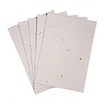 Kavya Craft Present Basil Seed Paper Sheets A5 Size White Colored (50)