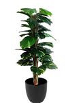 HYPERBOLES Indoor Artificial Plant Big Size Money Plant Tree for Home Decor - 5Feet