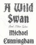 A Wild Swan: And Other Tales