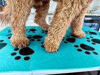 Dog Grooming Table Mat, Non Slip Pa