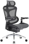 SIHOO Doro C300 Pro Ergonomic Offic