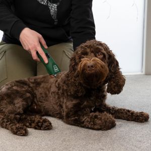 MASTERCLIP Cordless Dog Clippers – Rechargeable Pet Grooming Trimmer