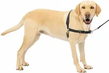 PetSafe Easy Walk No-Pull Dog Harne