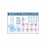 Anne Print Solutions® Benefits of drinking water Posters For Hospital Posters | Nursing Home Posters | Clinic Posters Pack Of 1 Pcs Size 13 Inch X 19 Inch* Multicolor