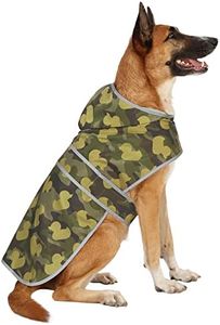 Large Dog 