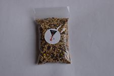 AntsRus Harvester ants seeds pack 60g (60g)