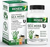 Renew Actives Sea Moss Capsules - Premium Triple-Action Antioxidant Blend with BioPerine for Ultimate Absorption - Organic Irish Sea Moss, Bladderwrack & Burdock Root - 60 Capsules