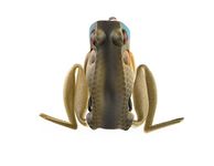 Lunkerhunt Popping Frog Fishing Lure, Blue Gill, 1/2 oz