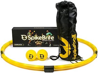 Spikeball 