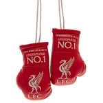 Liverpool FC Car Hangers Boxing Gloves