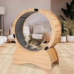 Wooden Cat Exercise Wheel for Indoo