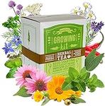 Medicinal & Herbal Tea Indoor Herb 