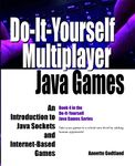 Do-It-Yourself Multiplayer Java Games: An Introduction to Java Sockets and Internet-Based Games: 4 (Do-It-Yourself Java Games)