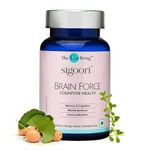 Brain Supplements For Adults