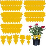 Fruit Fly Traps, Triitech 50 Pack Sticky Fly Traps, Plant Fly Stickers, Sticky Bug Traps for Indoor and Outdoor (Yellow)