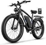 1500W Peak 2000W Electric Bike for 
