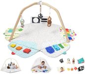 LOVEVERY | The Play Gym | Award Winning For Baby , Stage-Based Developmental Activity Gym & Play Mat for Baby to Toddler