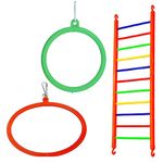 Bird Toy Set Ladders, Hanging Swings Toys Cage Accessories for Love Birds, Budgies, Finches. (Ladder 1piece Twelve Steps, Oval Swing 1pieces, Round Swing 1piece Multi Color)