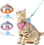 AMIR Cat Harness and Leash Set for 