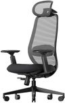 ProtoArc Ergonomic Office Chair – EC200 High-Back Mesh Computer Chair with Lumbar Support, Adjustable Seat Depth & 3D Headrest Ergo Desk Chairs for Work from Home, 8+ Hours Comfort - Black